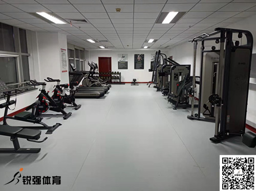 济南某集团采购的世界杯投注提供的健身器材