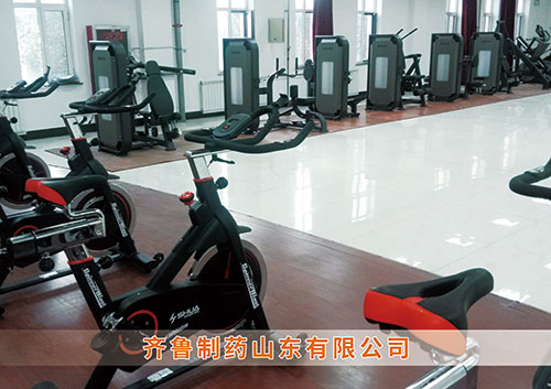 ​世界杯投注为齐鲁制药呼和浩特分公司打造健身房
